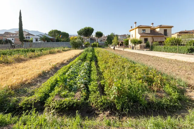 TERRENO URBANO 1060m EN LA ZUBIA — 3