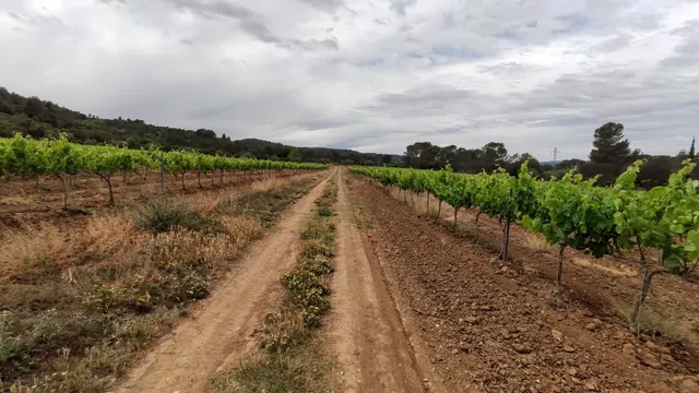 PROYECTO DE FINCA RÚSTICA — 24