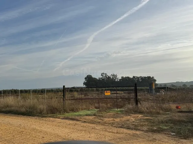 Terreno Rural en Aznalcázar - Oportunidad de Inversión - foto 2