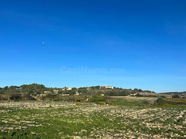 Finca con licencia y proyecto básico en Porreres - foto 4