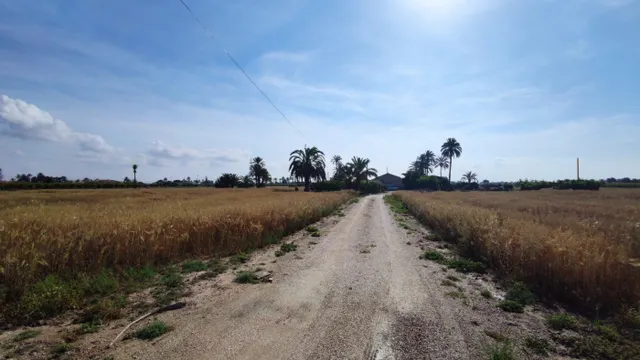 SE VENDE CASA DE CAMPO CON 42.000 M2 DE PARCELA. — 22