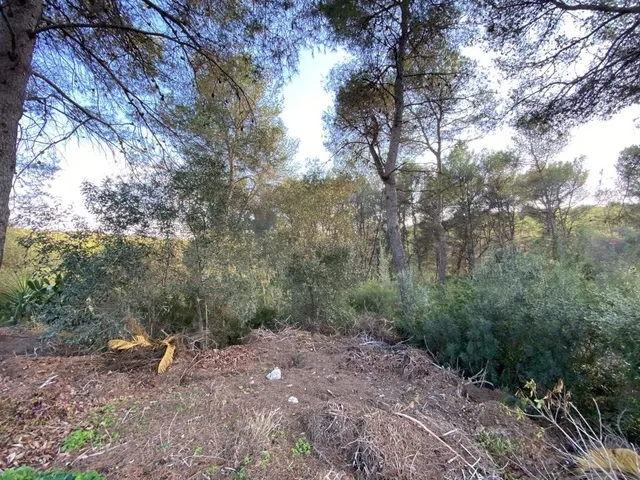 OPORTUNIDAD ENORME TERRENO EN VENTA POR 150.000€ — 13