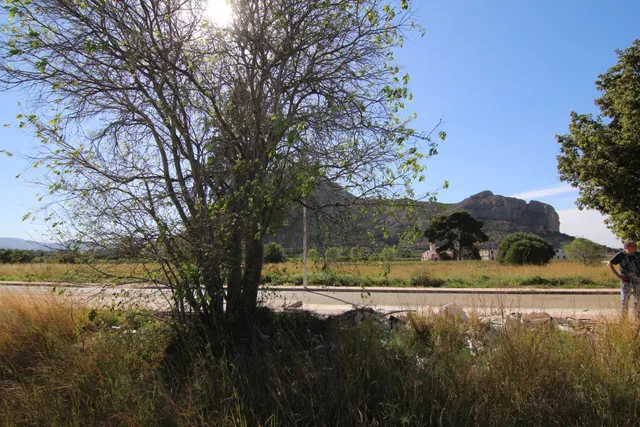Se vende excelente parcela urbana en el pueblo de El Vergel, Alicante. — 14