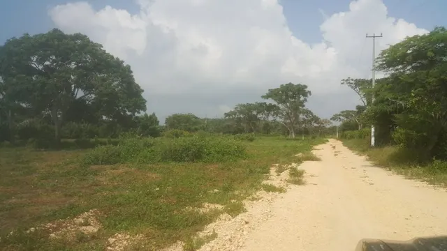Venta de terreno con playas en sector de Punta Canoa — 14