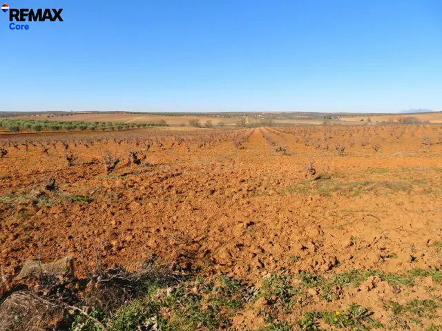 Espectacular Finca de 120 Ha en Tierra de Barros: Máxima Ren - foto 3