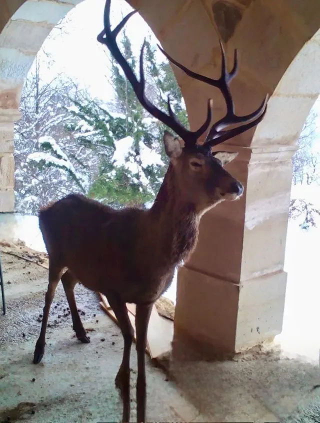 CASA DE PIEDRA EN PARQUE NATURAL RESERVA DEL SAJA — 17