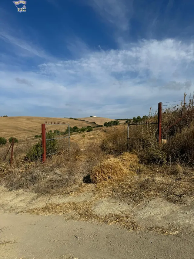 TERRERO RÚSTICO EN ZONA CARRETERA ARCOS-ALGAR — 5