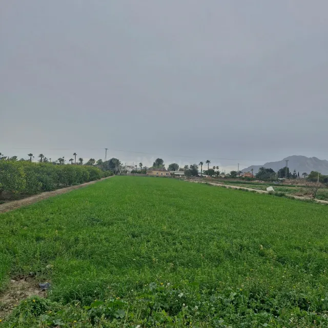 TERRENO 4800 M2