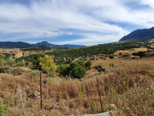 Parcela en venta - Costa Del Sol - foto 3