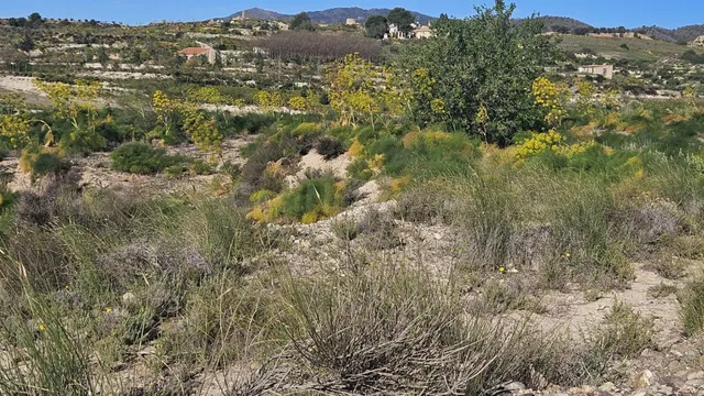 Se vende terreno rústico de 6.700 m2 en Corvera — 3