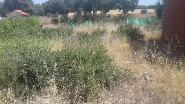 ¡¡¡ Gran Oportunidad de Parcela de 540M2 llana y casa de 25M2  en Urbanización el Olmillo !!! — 3