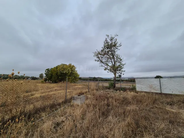 D. MAGNIFICO TERRERO RURAL, FRENTE A LA BASE LOGISTICA MILIT
