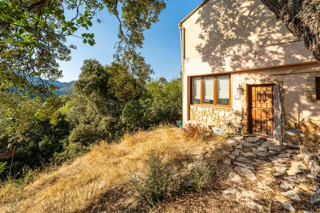 Finca rústica en plena Serra de Tramuntana Puigpunyent — 39