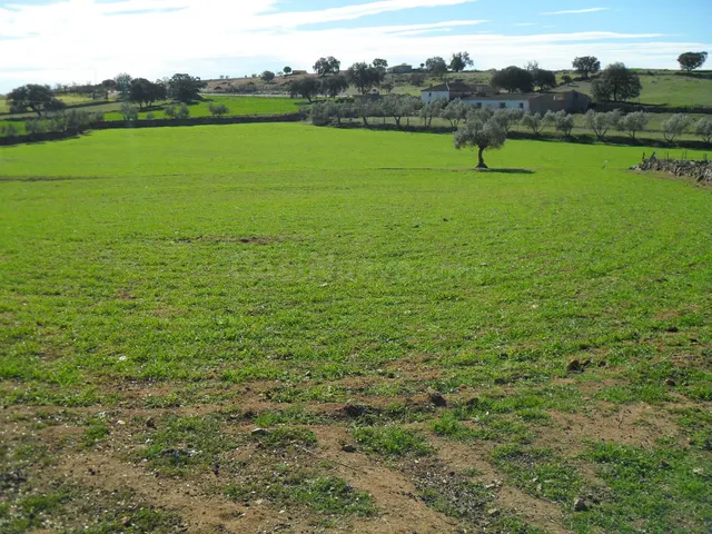 Se vende terreno de regadío (Huerta), con casa antigua en El - foto 3