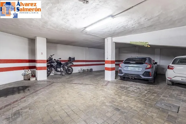 Pisazo en paseo del salón - Granada — 41