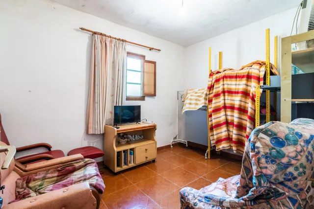 Finca con vivienda y viñedos en Icod de los Vinos — 30
