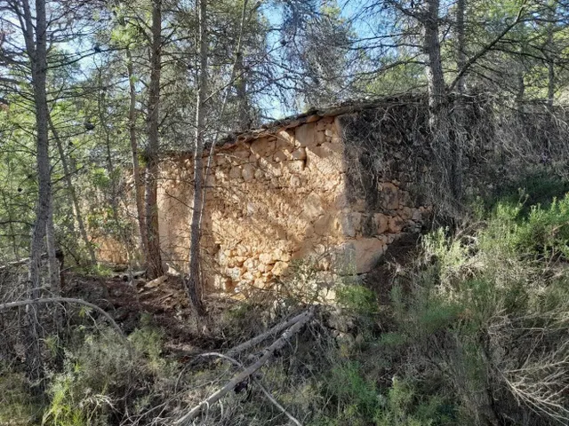 OPORTUNIDAD LOTE DE FINCAS RUSTICAS DE 24 HAS.CON DIVERSAS c - foto 3