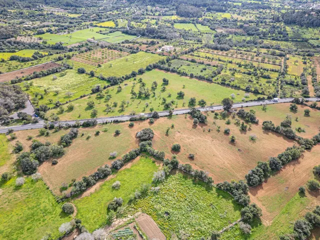 Dos Hectáreas de Terreno urbanizable en Felanitx zona SHorta - Cas Concos des Cavaller — 29