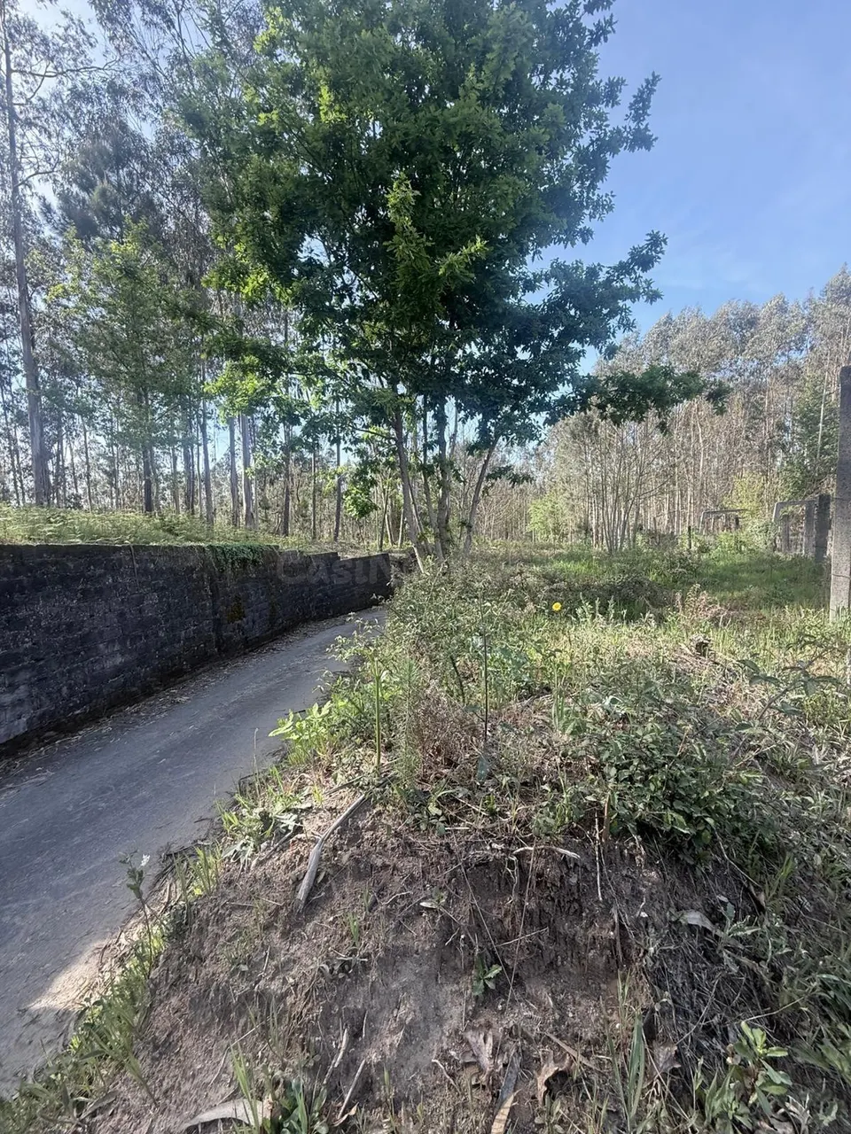 Terreno Rústico en venta - Arca e Ponte de Lima