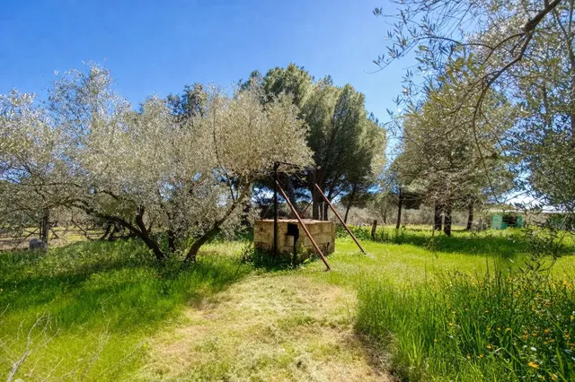 En venta maravillosa finca Rustica de Olivos — 34