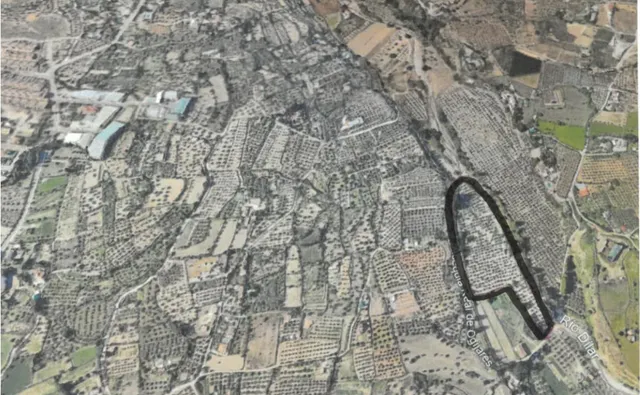 Magnífica parcela con olivos en producción - foto 4