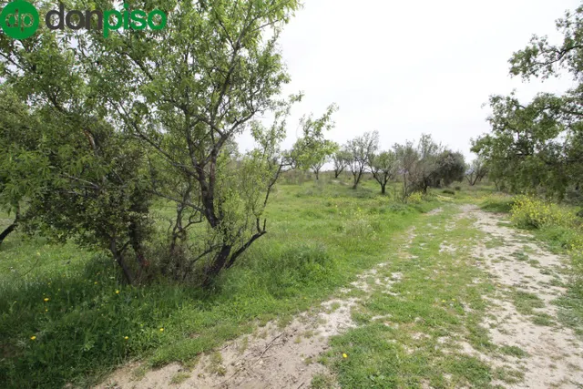 FINCA EN CORTIJO SAN JERÓNIMO (BARTODANO) — 45