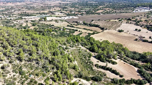 Terreno rústico de 10.000m2 en son quetlles, Felanitx — 19