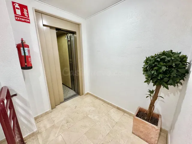 INCREIBLE VIVIENDA EN EL CENTRO DE ORIHUELA, REFORMADA CON P - foto 5