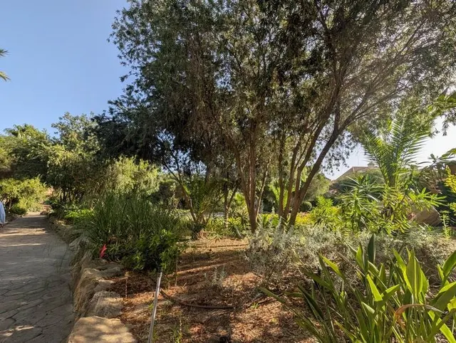 Adosada en Venta en Linea De La Concepcion, La Cádiz — 49