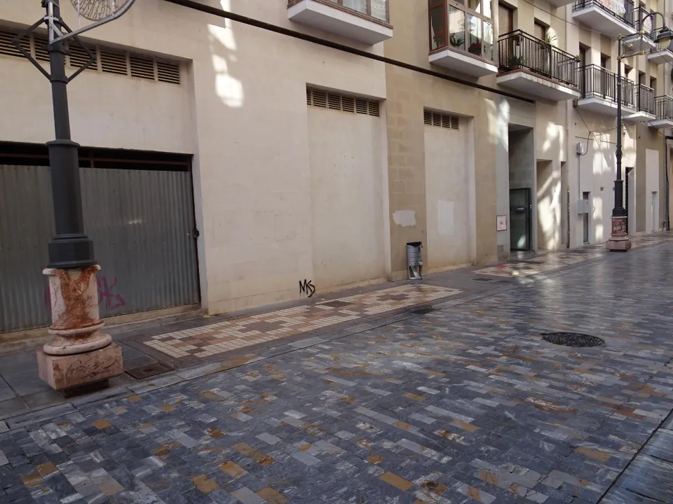 LOCAL COMERCIAL DE 945 M2 EN ZONA PEATONAL