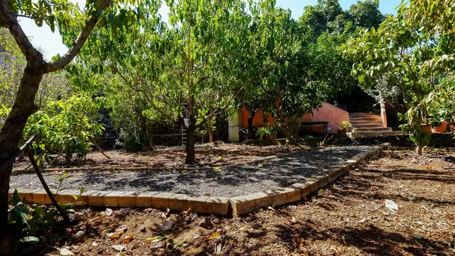 CASA REFORMADA CON AMPLIO TERRENO EN LA SOLANA, SAN MATEO — 10