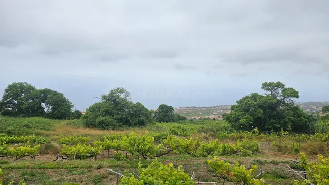 !!OPORTUNIDAD!! TINERCASA TIENE DISPONIBLE EN RAVELO, EL SAU - foto 3