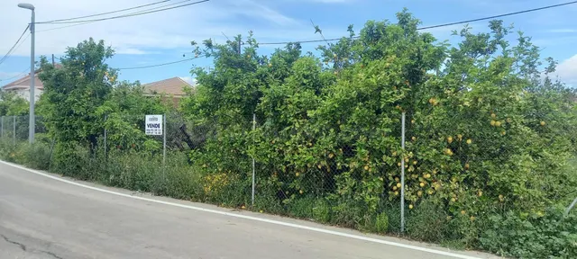 Se vende parcela edificable en la pedanía de la Raya - foto 2