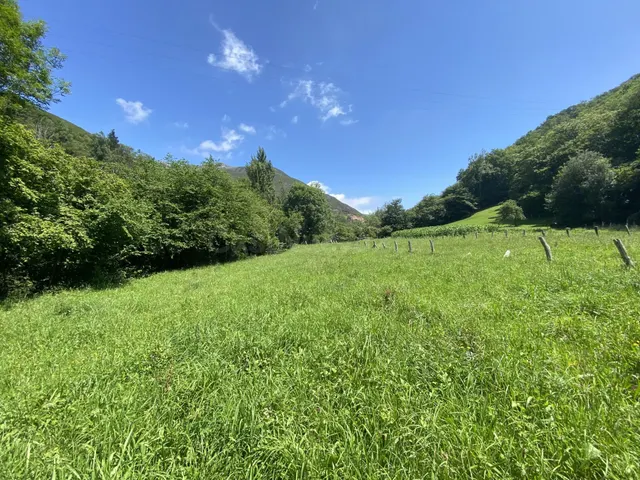 VENTA DE FINCA EN LLENIN - foto 5