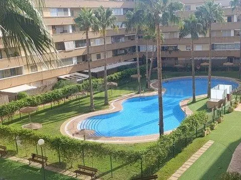 VIVIENDA OKUPADA ILEGALMENTE NO SE PUEDE VISITAR NI HIPOTECA - foto 3