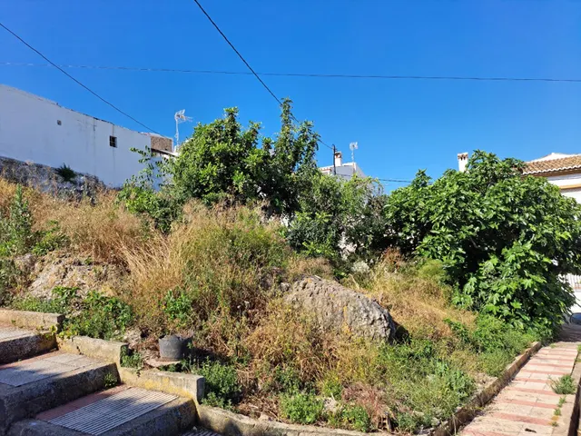 Parcela con vistas al Montgó en Gata de Gorgos — 2