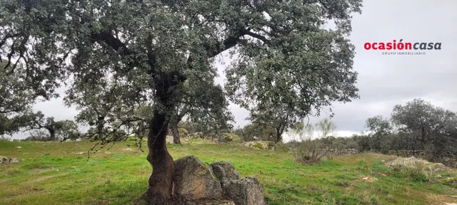PARCELA RÚSTICA EN PEDROCHE — 5