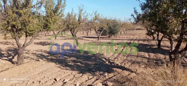 Terreno-parcela en Purias — 14