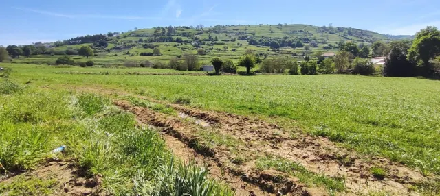 TERRENO DE 6.696 M2. EN LA ZONA DE TORANZO.-