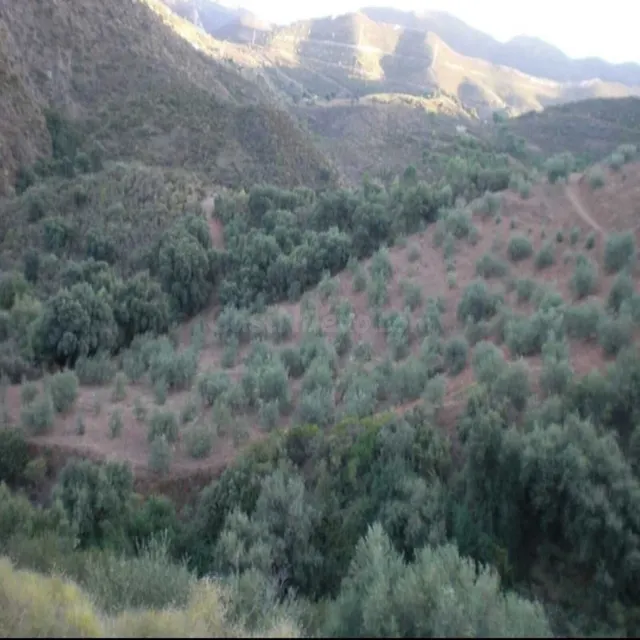 Parcela 40m² en venta - South of spain - foto 4