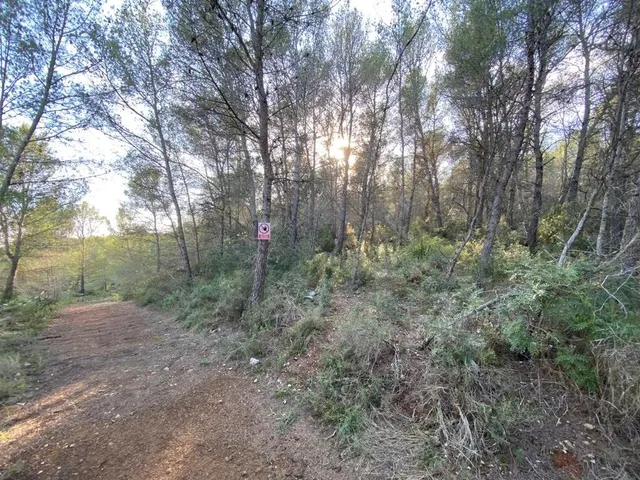 OPORTUNIDAD ENORME TERRENO EN VENTA POR 150.000€ — 11