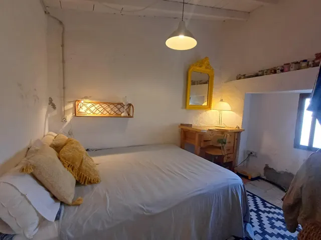 PARCELA DE TERRENO CON CASA CONSTRUIDA Y ARBOLES FRUTALES — 20