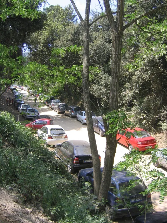 Finca rústica de 9 hectáreas en Arenys de Munt — 23