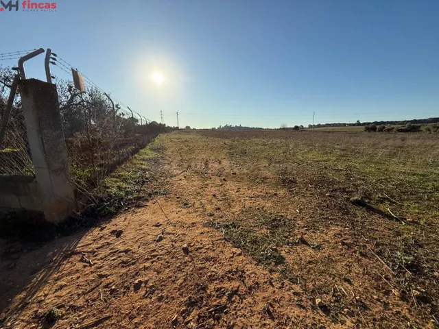 Inversión Destacada en Carmona, Sevilla 16.000Mt rústicos - foto 4