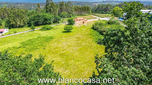 ¡CASA para REHABILITAR y con 6.676m2 de TERRENO con proyecto - foto 2