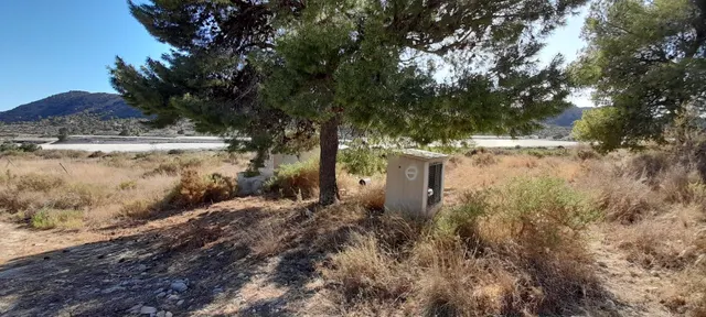 PARCELA 30.000 METROS DE TERRENO — 8