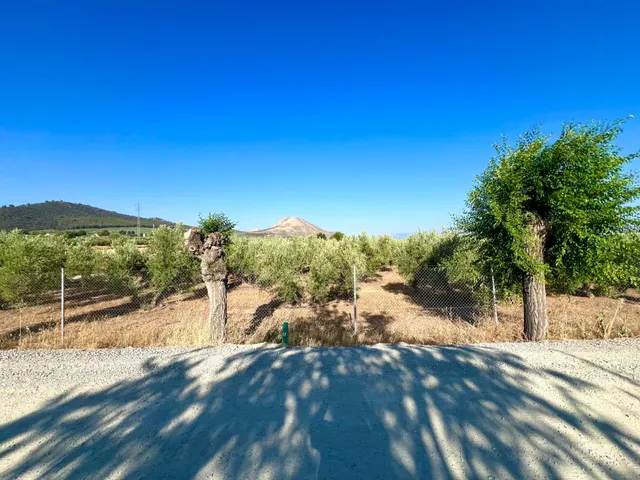 ALBOLOTE - PANTANO CUBILLAS — 17