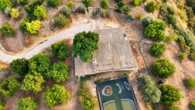 Finca en el Paraíso, Lecrín - foto 5
