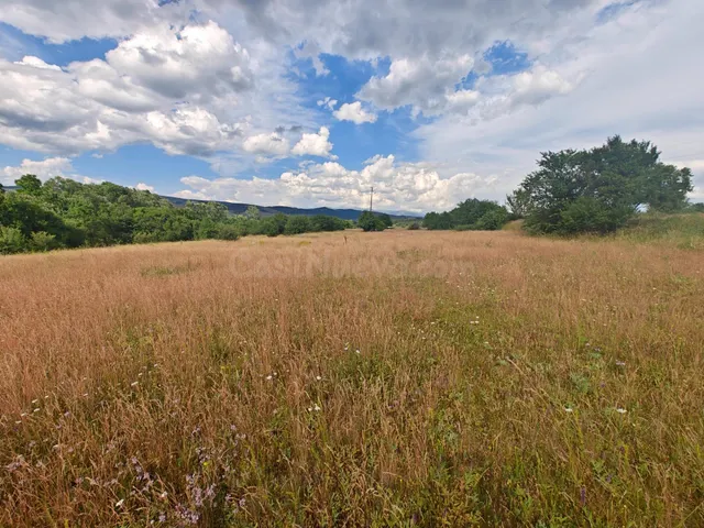 Se vende terreno Región de Pernik, pueblo de Stefanovo - foto 5