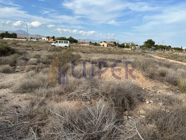 FINCA RUSTICA EN VERDEGAS AGOST 14.971 EN EL CAMPET - foto 4